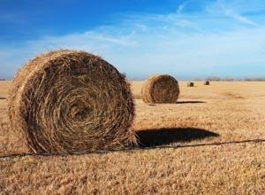 Rolled Hay In A Kansas Field
