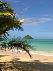 Enjoy a Day at the Beach in Hawaii